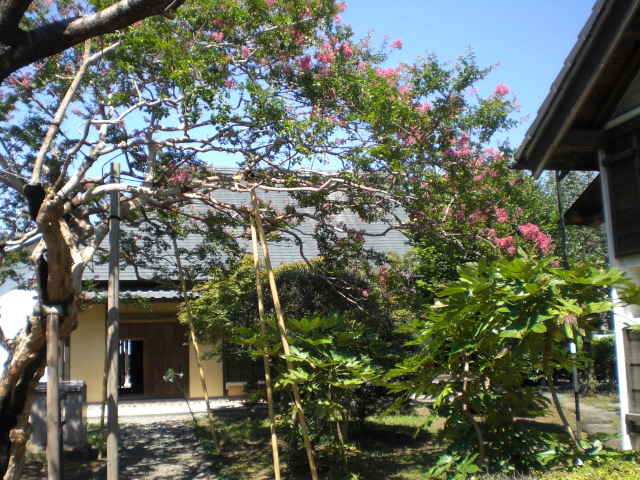 �Ԃǐ^�񒆂̗��ւ�