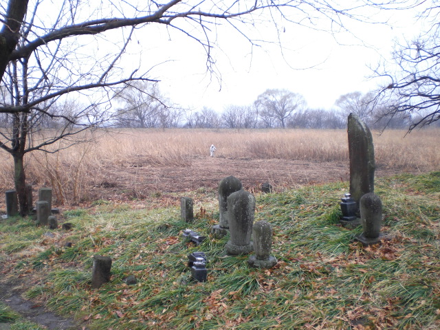 �Ԃǐ^�񒆂̗��ւ�