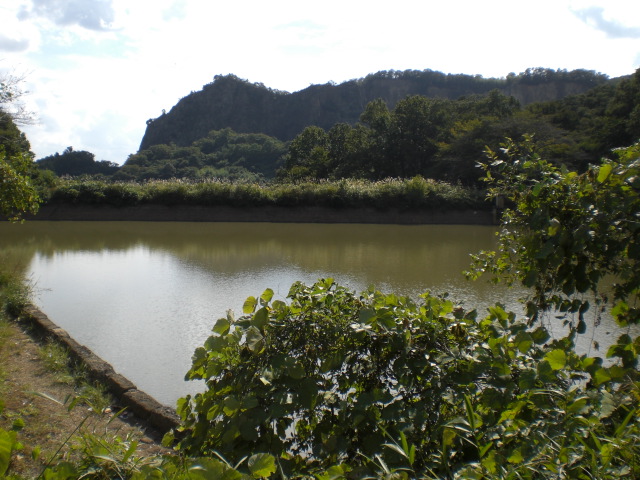 �Ԃǐ^�񒆂̗��ւ�