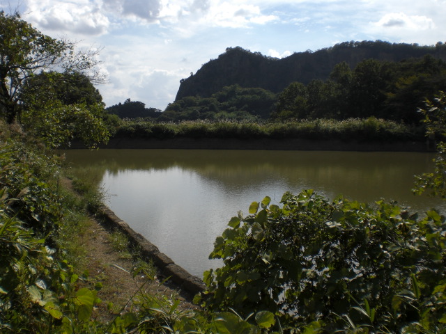 �Ԃǐ^�񒆂̗��ւ�