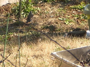 �Ԃǐ^�񒆂̗��ւ�