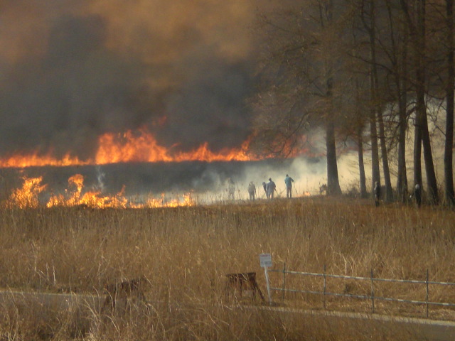 �Ԃǐ^�񒆂̗��ւ�