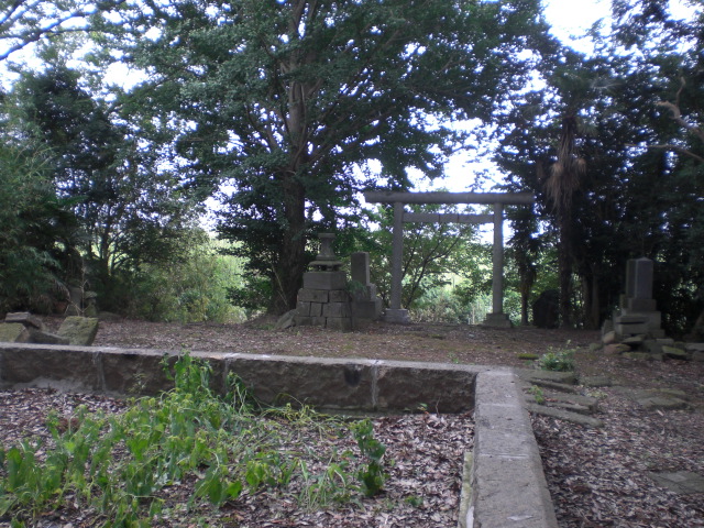 �Ԃǐ^�񒆂̗��ւ�