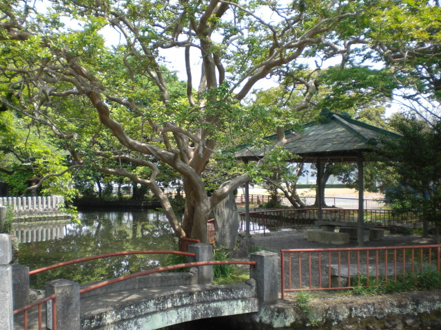 �Ԃǐ^�񒆂̗��ւ�