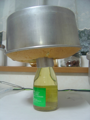 �܂�����Ȑ���