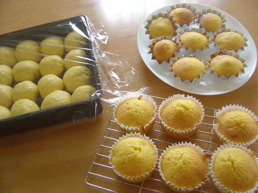 �܂�����Ȑ���