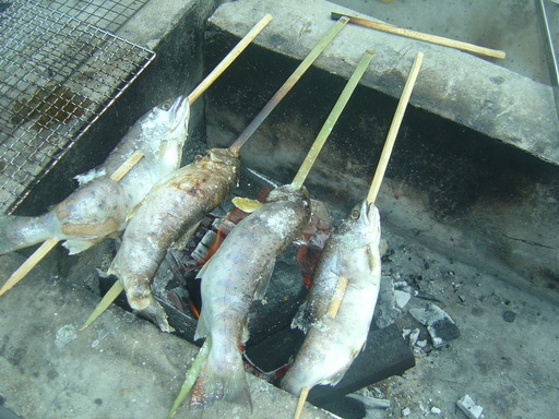 �܂�����Ȑ���