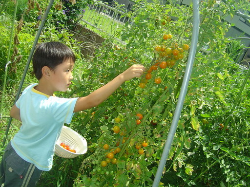 �܂�����Ȑ���