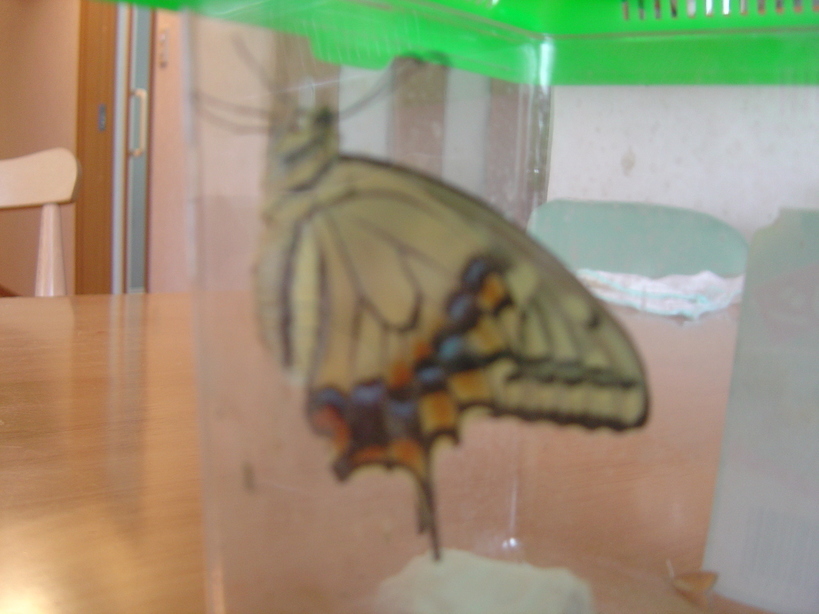 �܂�����Ȑ���