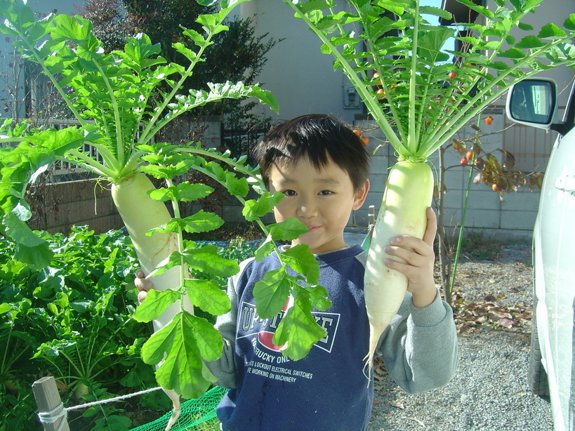 �܂�����Ȑ���