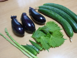 �܂�����Ȑ���