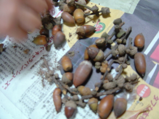 �܂�����Ȑ���