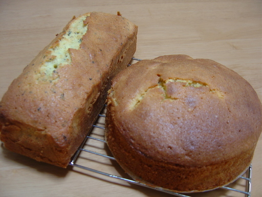 �܂�����Ȑ���