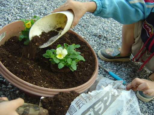 �܂�����Ȑ���