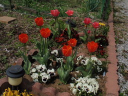 �܂�����Ȑ���