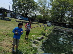 �܂�����Ȑ���