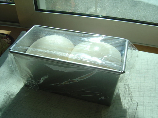 �܂�����Ȑ���