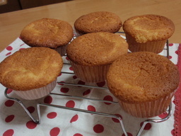 �܂�����Ȑ���