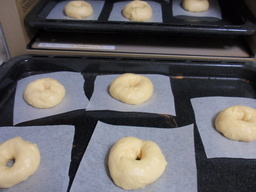 �܂�����Ȑ���