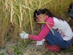 �܂�����Ȑ���