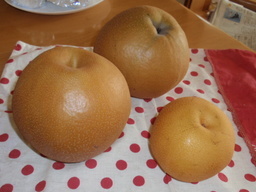 �܂�����Ȑ���