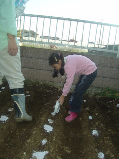 �܂�����Ȑ���