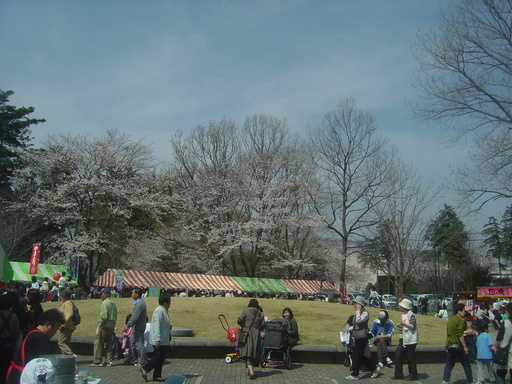 �܂�����Ȑ���