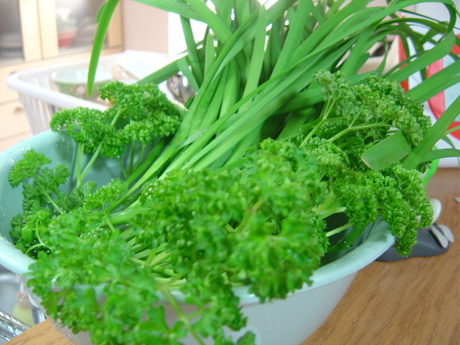 �܂�����Ȑ���