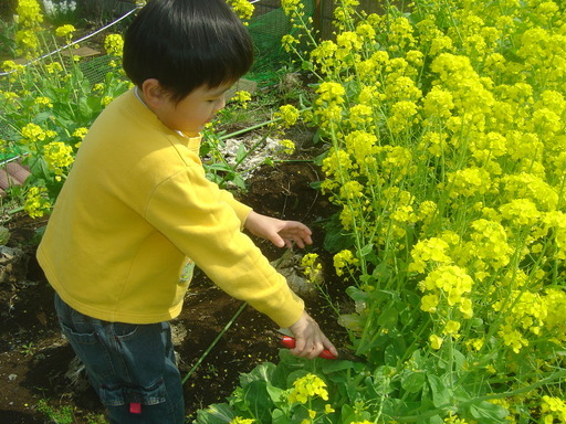 �܂�����Ȑ���