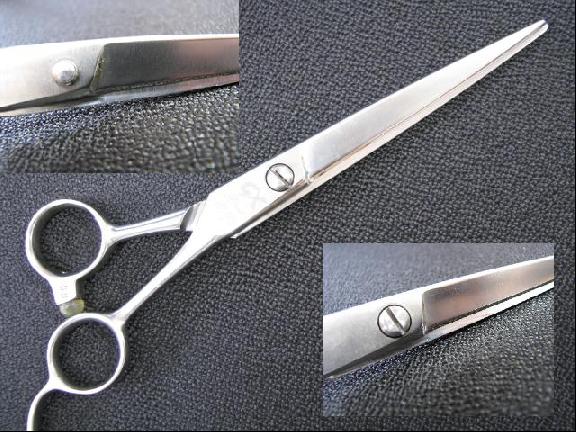 ✂���ƌ����̃u���O✂