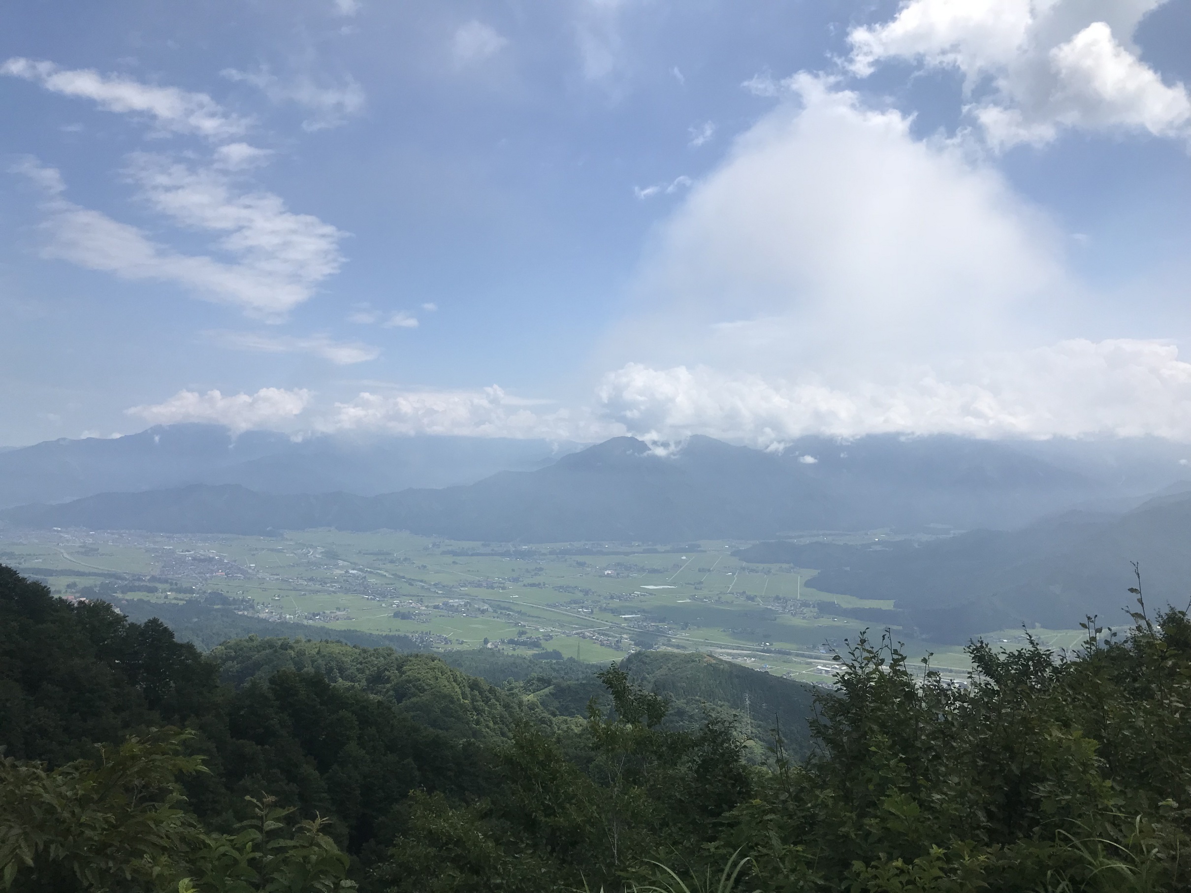 ✂���ƌ����̃u���O✂