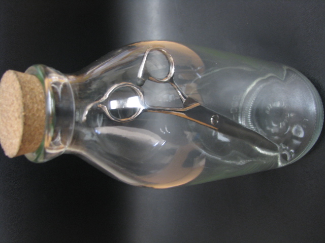 ✂���ƌ����̃u���O✂