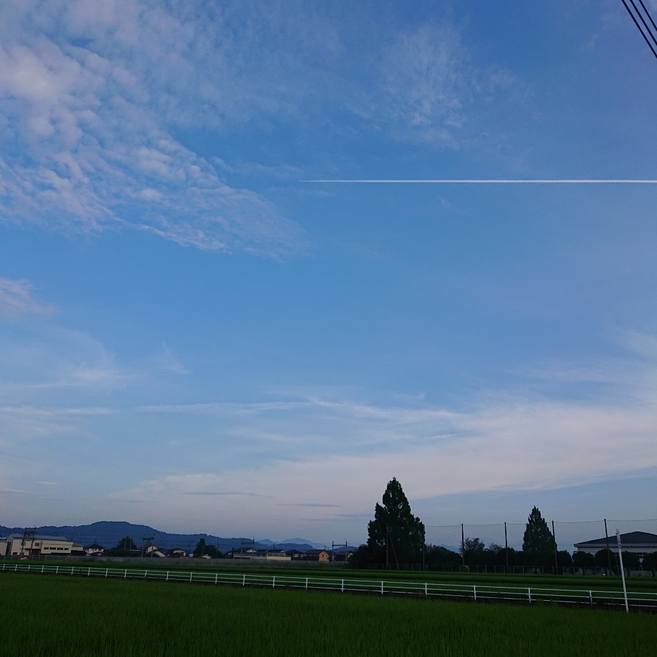 ���N���͎O���̓��I