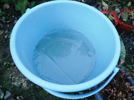 ���N���͎O���̓��I