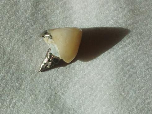 ���N���͎O���̓��I