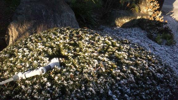 ���N���͎O���̓��I