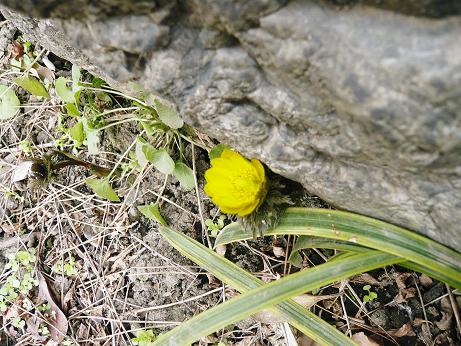 ���N���͎O���̓��I