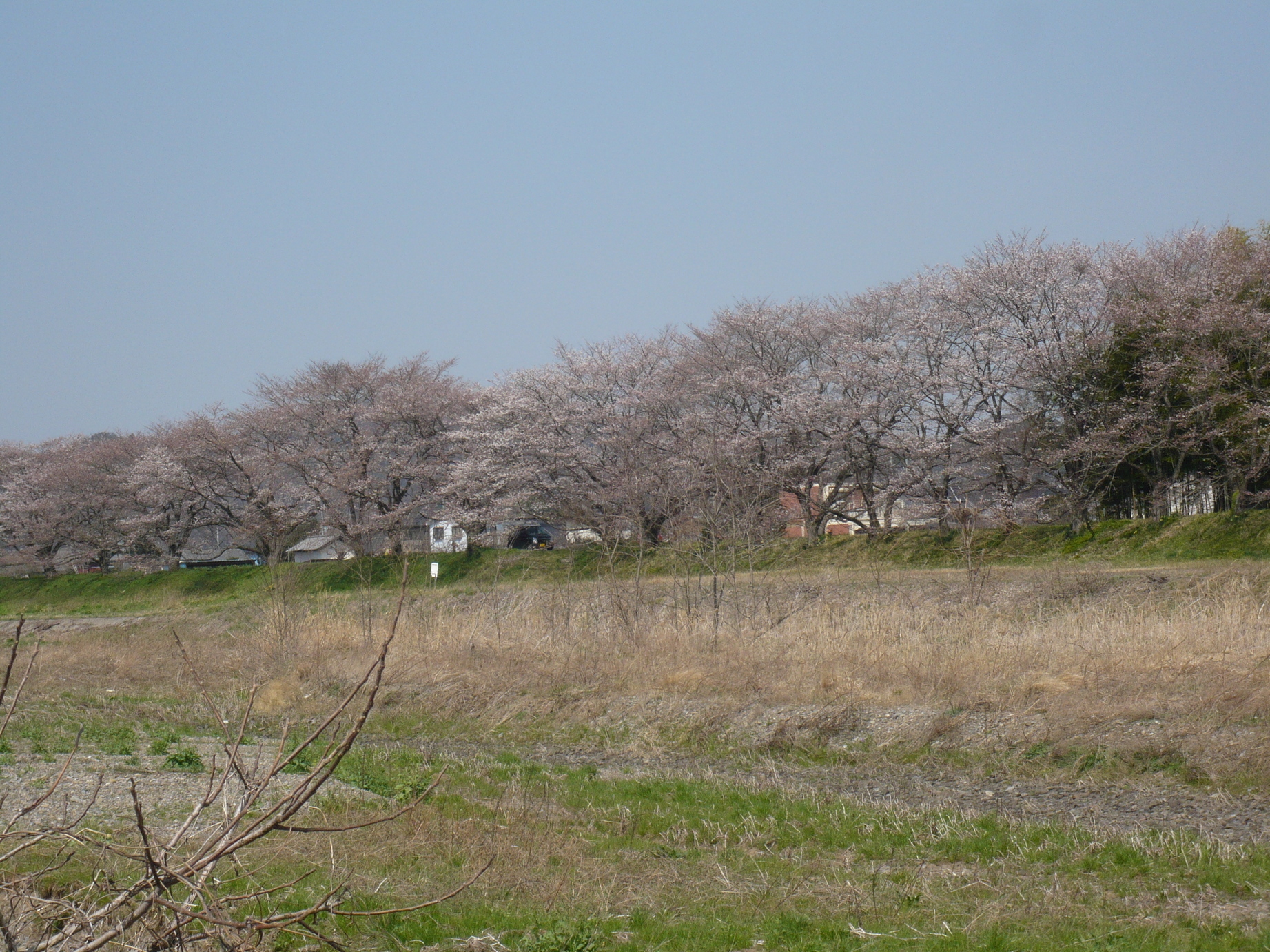 ���N���͎O���̓��I