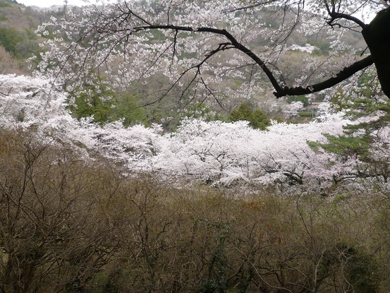 ���N���͎O���̓��I