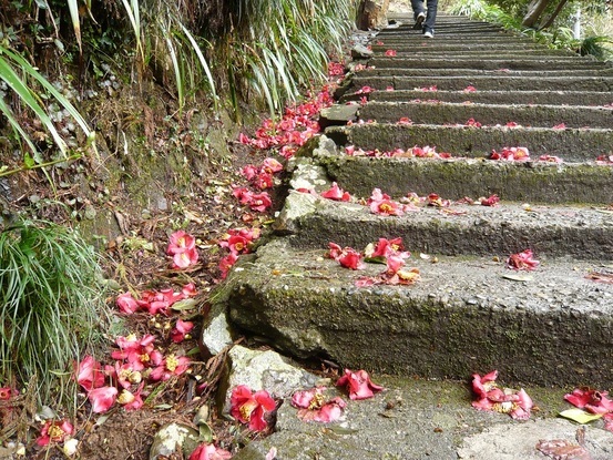 ���N���͎O���̓��I