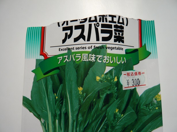 ���N���͎O���̓��I