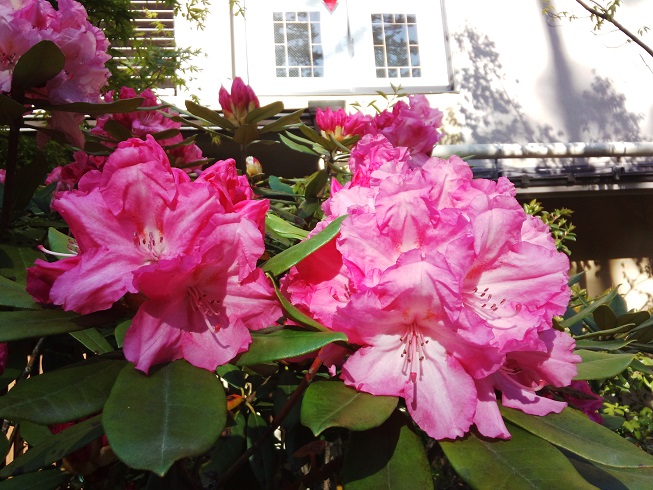 ���N���͎O���̓��I