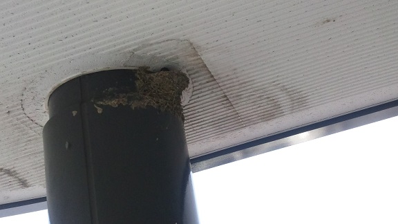 ���N���͎O���̓��I