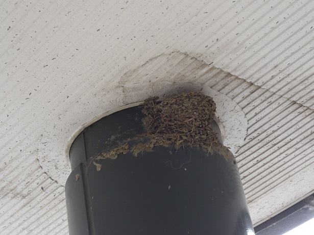 ���N���͎O���̓��I