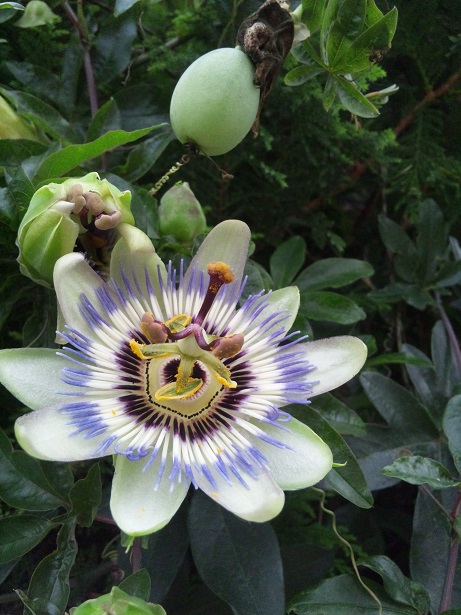 ���N���͎O���̓��I