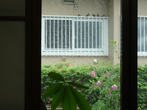 ���N���͎O���̓��I