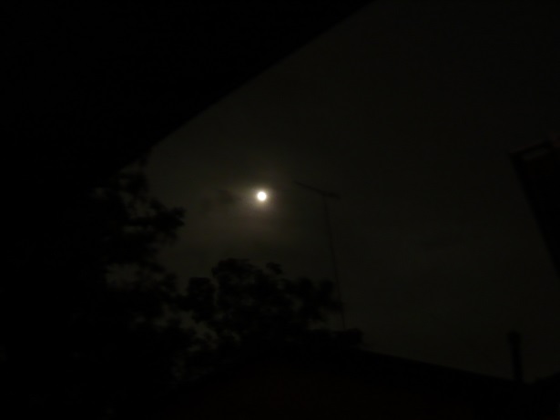 ���N���͎O���̓��I