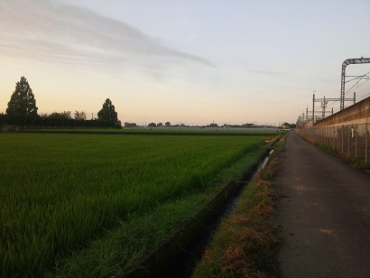 ���N���͎O���̓��I