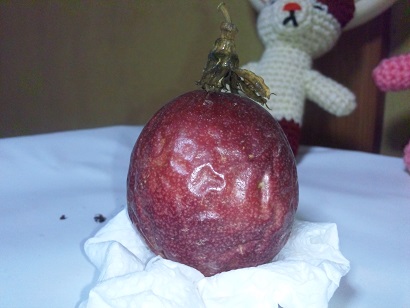 ���N���͎O���̓��I