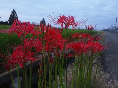 ���N���͎O���̓��I